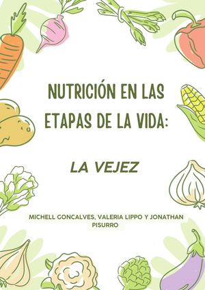 Nutrición En Las Etapas De La Vida