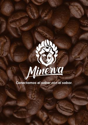 Catálogo Minerva 2026