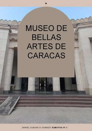 Ebook Museo Bellas Artes de Caracas By Daniel Cuevas