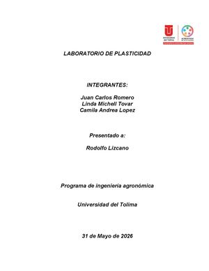 Laboratorio De Plasticidad