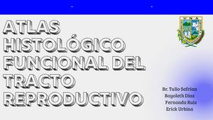 Atlas Histologico