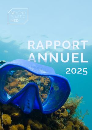 Rapport D'activités 2025 V14 Light Par Pages