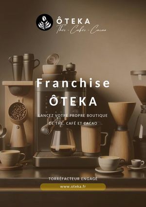Brochure Franchise Maison Oteka