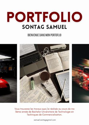 Sontag Samuel Portfolio 3ème Année But Tc