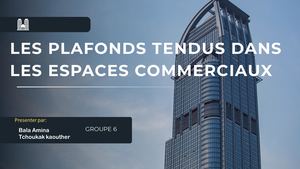 Les Plafonds Tendus Dans Les Espaces Commerciaux 20260516 140912 0000