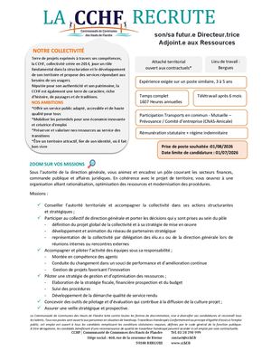 Offre D'emploi Dga Ressources