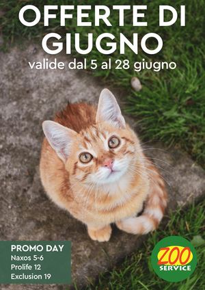 Volantino Di Giugno