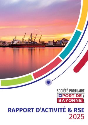 Rapport d Activité & RSE 2025