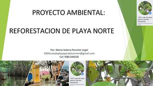 Proyecto Ambiental 1 000 Uvas De Playa Para el Carmen, Campeche por Raul Alberto Peniche Mendoza 2018