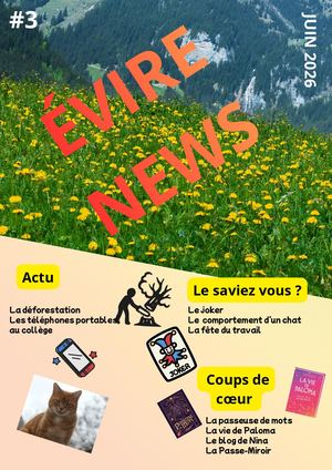 Evire News #3