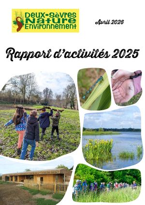 Rapport Activite DSNE 2025