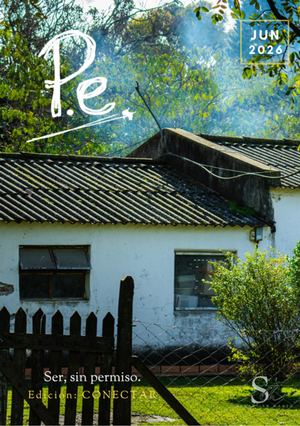 P E Edición 27
