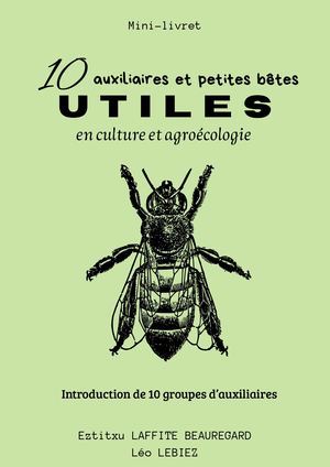 10 Auxiliaires Et Petites Bêtes Utiles En Culture Et Agroécologie