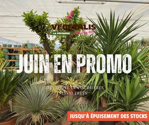 PROMO Juin 2026 - TRETS