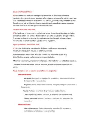1 Que Es Fertilización Foliar