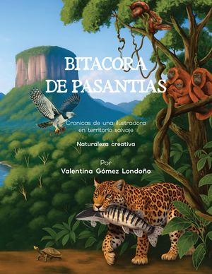 Portafolio Pasantia