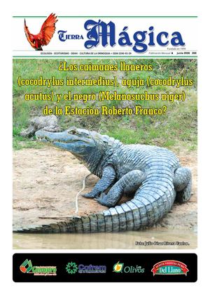Tierra Mágica 263