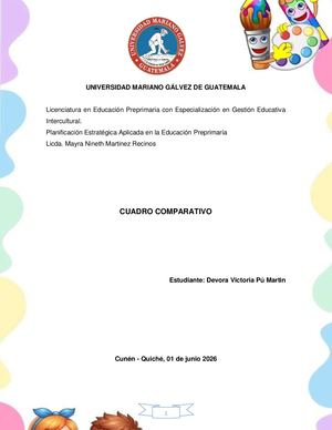 Informe Final, Estrategico