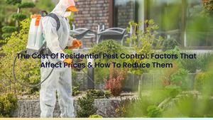 The Cost Of Residential Pest Control: Factors That Affect Prices & How To Reduce Them