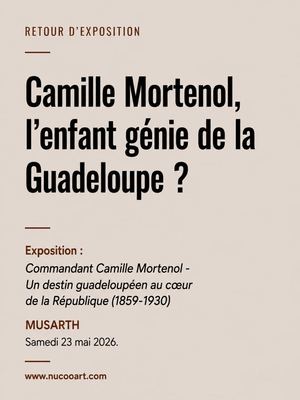 Camille MORTENOL? L'enfant génie de la Guadeloupe ?