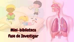 Mini Biblioteca Fase De Investigar