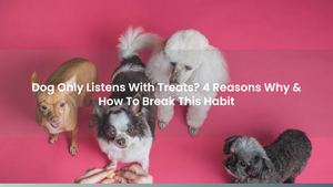 Dog Only Listens With Treats? 4 Reasons Why & How To Break This Habit