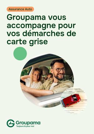 Demarche Carte Grise 206573 052026 (3)