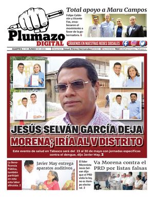 Plumazo Digital 765