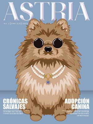 Revista  V2