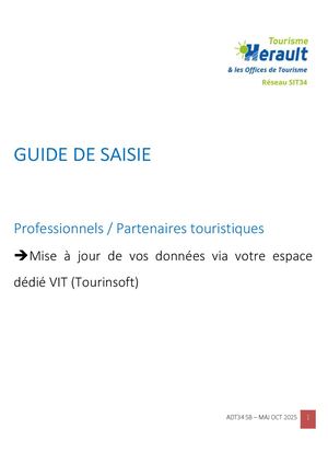 2026 GUIDE DE SAISIE VIT PROS OK
