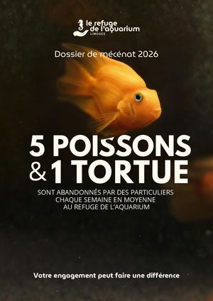 Dossier De Mécénat 2026