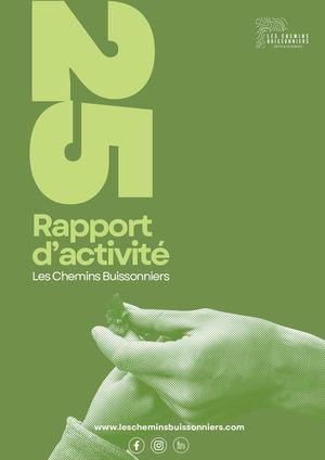 Rapport d'activité 2025