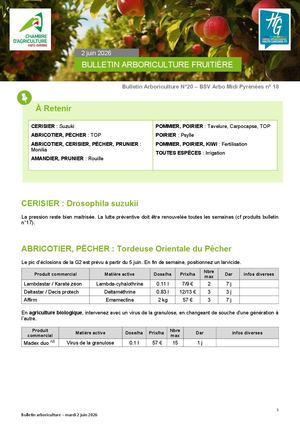Bulletin arbo n°20 du 2 Juin 2026