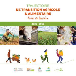 Trajectoires Web