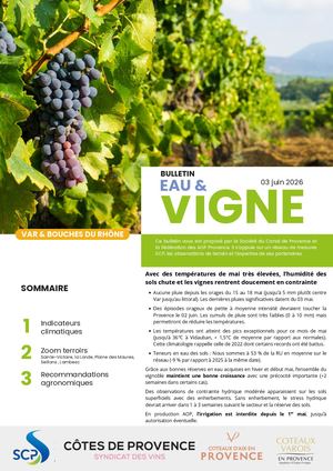 Bulletin Eau&vigne N°3 2026