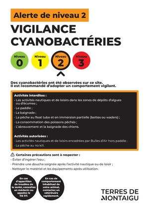 Lac de la Chausselire - Vigilance cyanobactéries de niveau 2