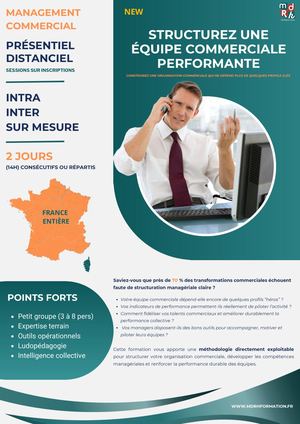 Management Structurez Une éQuipe Commerciale Performante