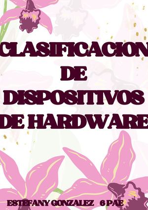 Documento Portada Informe Elegante Floral Rosa Vintage 20260602 091152 0000 Compressed