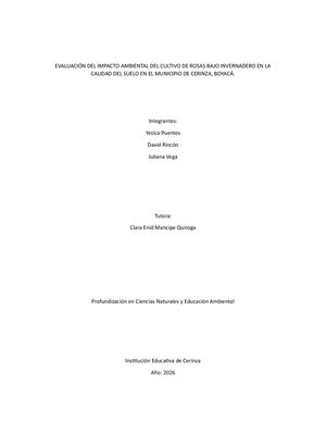 Proyecto De Investigación