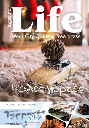 Life Vol 29