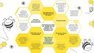 Actividad Sumativa N° 1 Esquema Panal De Abeja