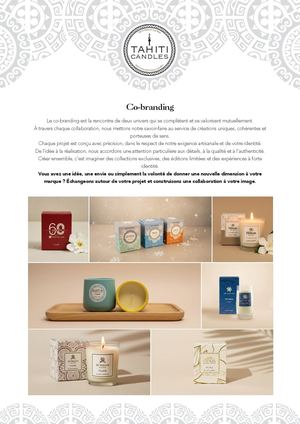 Plaquette Presentation Co Branding