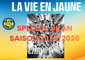 Ebauche Vie En Jaune Sâcial Sasion
