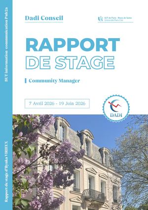 Rapport De Stage Dadi Conseil