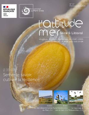 L'attitude Mer N°37