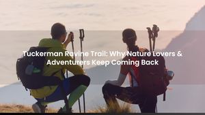 Tuckerman Ravine Trail: Why Nature Lovers & Adventurers Keep Coming Back