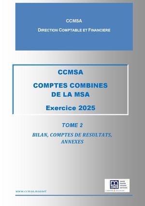 Tome 2 - Comptes Combines MSA2025 V1 2026 04 07