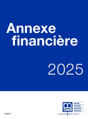 Annexe Financière 2025