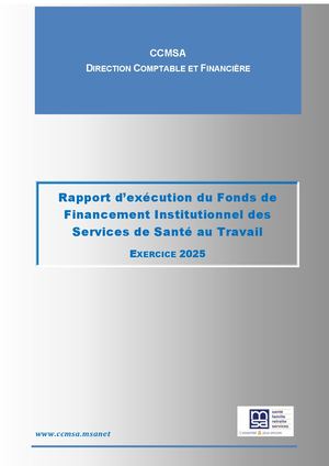Rapport Financement FFI SST 2025 Budget SST 2026