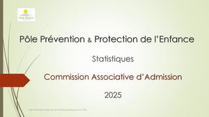 Bilan Stat Caa 2025 Pptx